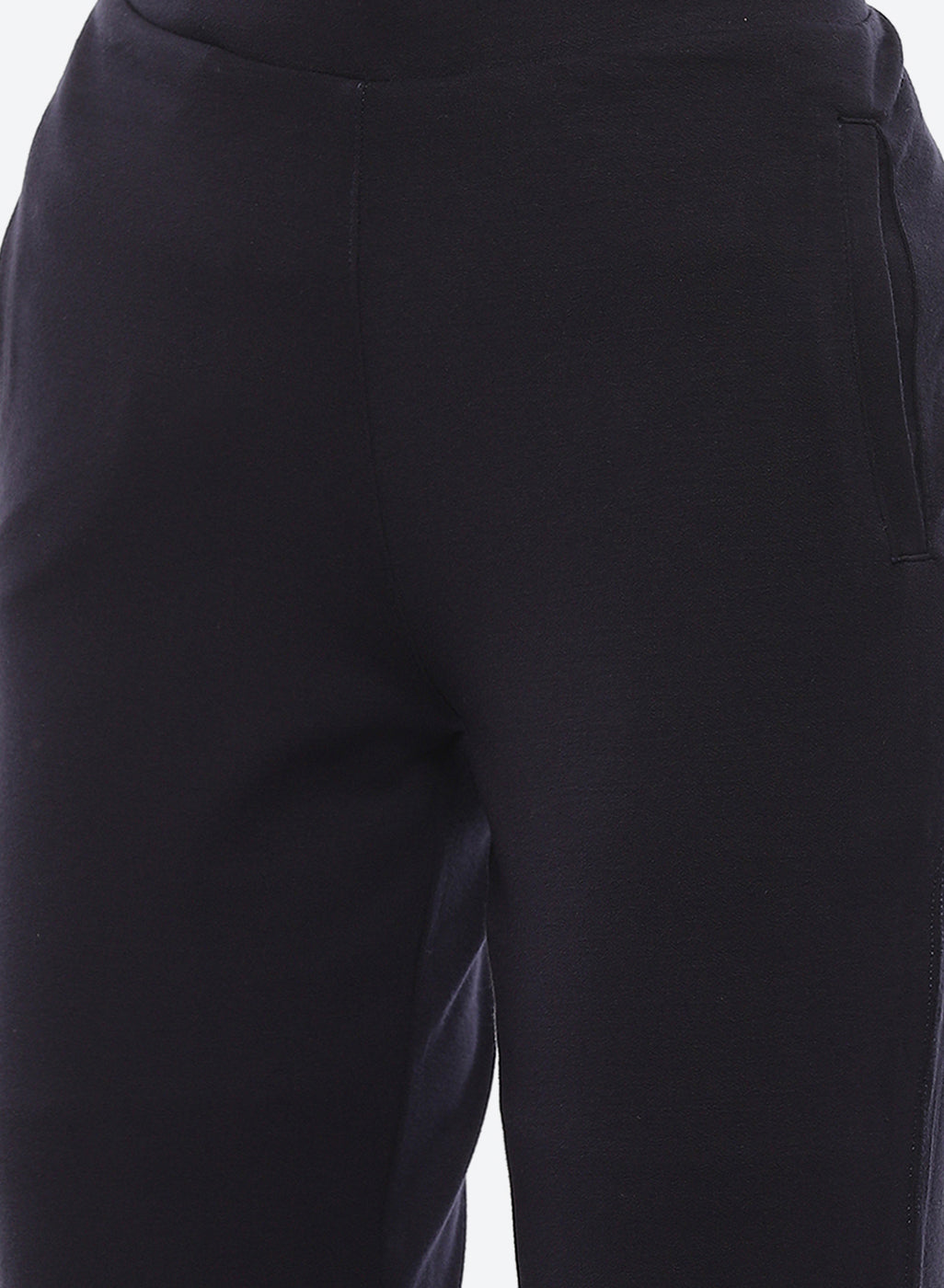 Navy Blue Regular Plain Pants