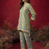Saina Dove Beige Printed Remi Linen Co-ord Set for Women