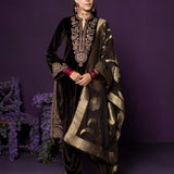 Eshira Brown Embroidered Velvet Suit Set with Banarasi Dupatta