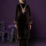 Eshira Brown Embroidered Velvet Suit Set with Banarasi Dupatta