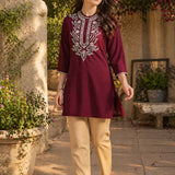 Lakhnavi Embroidered A-Line Rayon Kurti