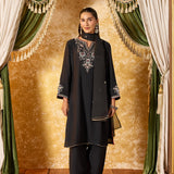 Avika Graphite Black Embroidered Suit Set