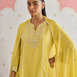 Rhea Lemon Green Sequin Embroidered Suit Set