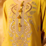 Vaidehi Turmeric Mustard Embroidered Suit Set