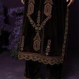 Koel Brown Embroidered Velvet Suit Set with Banarasi Dupatta