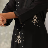 Parizad Black Embroidered Cotton Blend Mandarin Collar Straight Co-ord Set