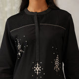 Parizad Black Embroidered Cotton Blend Mandarin Collar Straight Co-ord Set